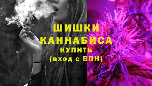 ECSTASY Медногорск