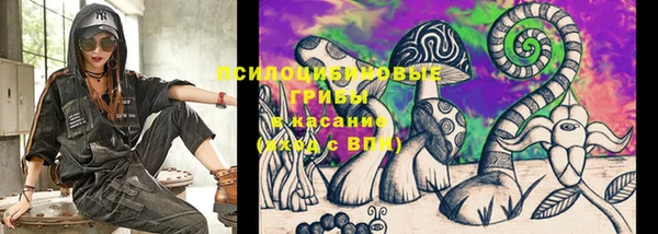 ECSTASY Медногорск